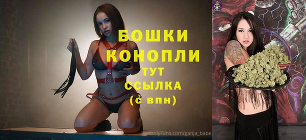 твердый Лиски