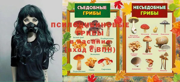 ешки Липки