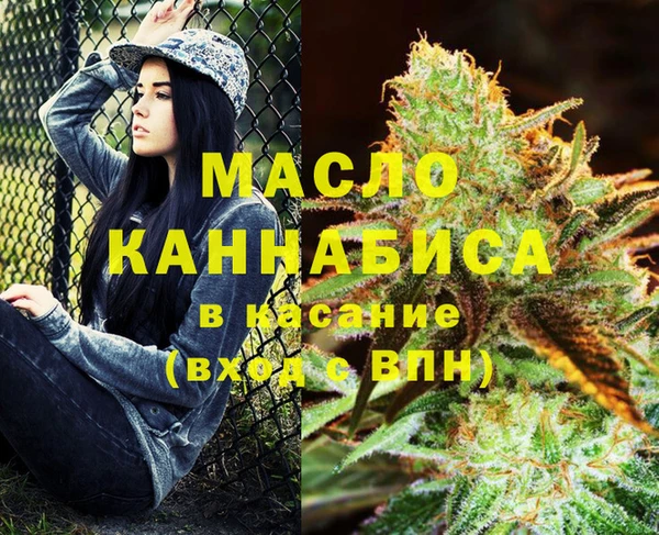 мет Алексин